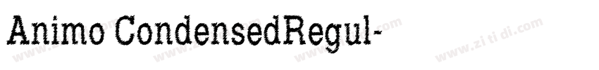 Animo CondensedRegul字体转换 Animo CondensedRegul字体转换